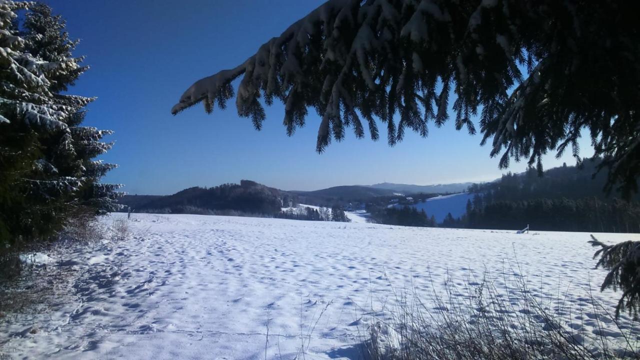 B&B All Seasons Winterberg Esterno foto