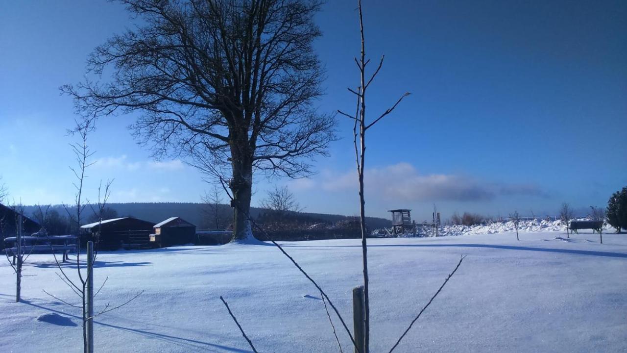 B&B All Seasons Winterberg Esterno foto