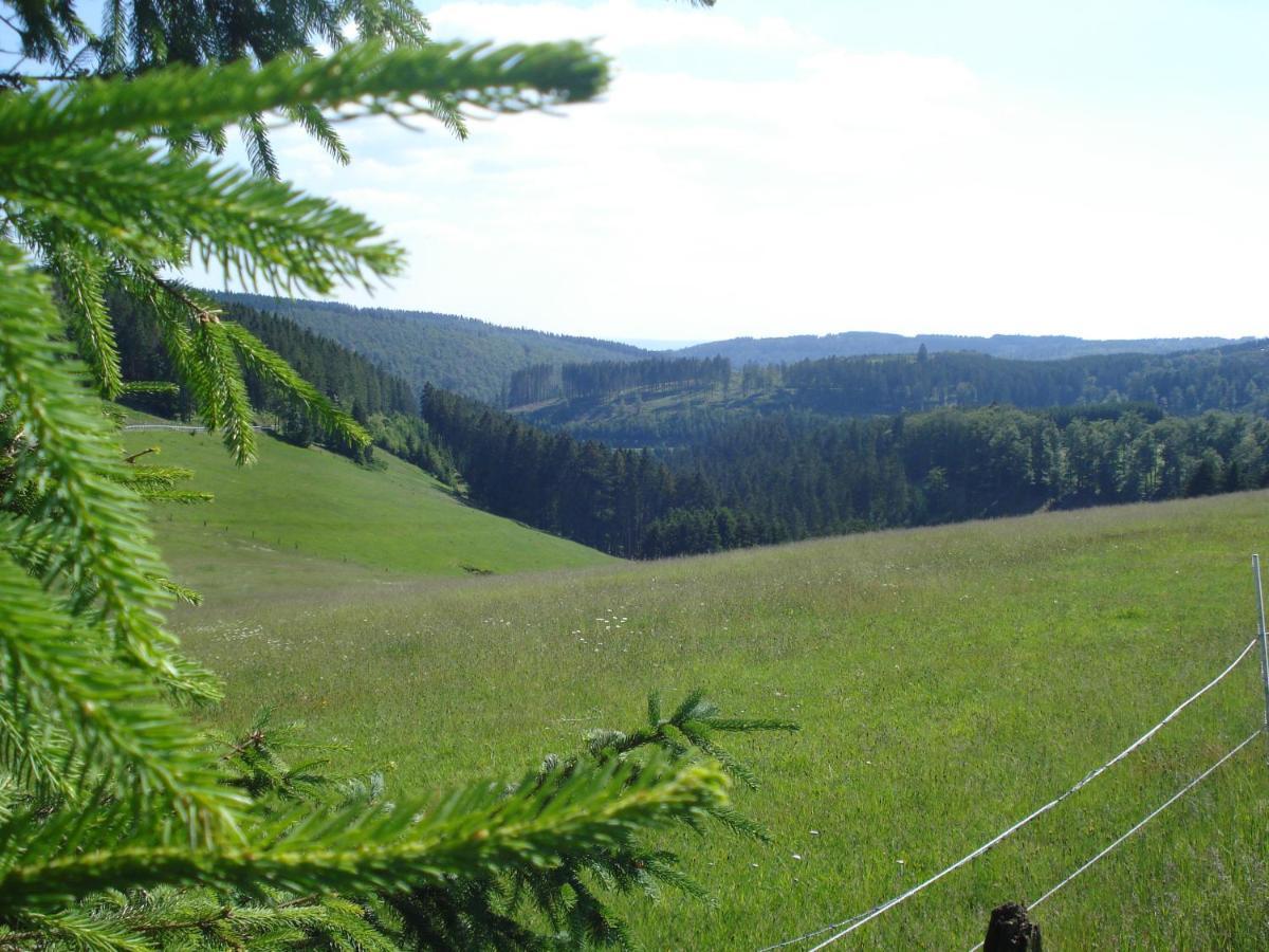 B&B All Seasons Winterberg Esterno foto