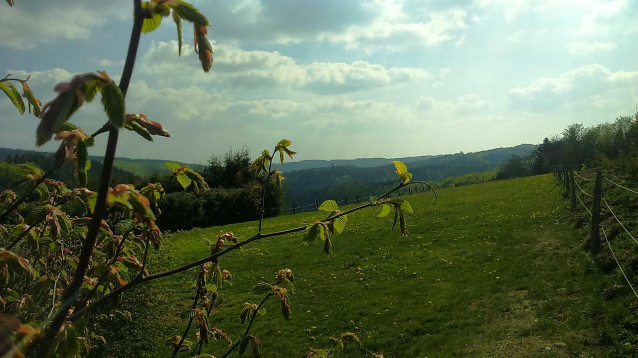B&B All Seasons Winterberg Esterno foto